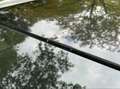 Ford Focus 1.0 EcoB. Titanium Zwart - thumbnail 4