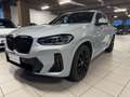 BMW X4 X4 xDrive20d 48V Msport Gris - thumbnail 1