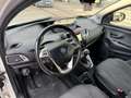 Lancia Ypsilon 1.2 69 CV 5 porte GPL Ecochic Silver Blanc - thumbnail 10