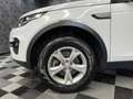 Land Rover Discovery Sport Discovery Sport 2.0 td4 awd 150cv auto (035) Bianco - thumbnail 8