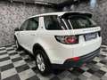 Land Rover Discovery Sport Discovery Sport 2.0 td4 awd 150cv auto (035) Bianco - thumbnail 6