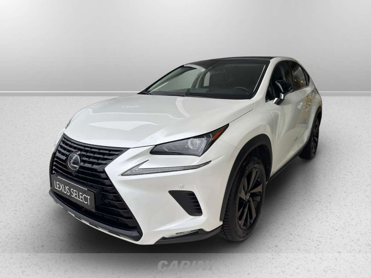 Lexus NX 300 300h 2.5 sport 4wd cvt