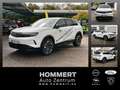 Opel Grandland 157kW GS Electric #360°#Focal#11kW-OBC# Weiß - thumbnail 1