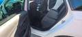 SEAT Leon Leon ST Executive  2,0 TDI CR Start-Stop DSG Execu Weiß - thumbnail 16