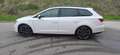 SEAT Leon Leon ST Executive  2,0 TDI CR Start-Stop DSG Execu Weiß - thumbnail 8