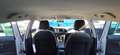 SEAT Leon Leon ST Executive  2,0 TDI CR Start-Stop DSG Execu Weiß - thumbnail 15
