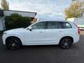 Volvo XC90 Volvo XC90 B5 AWD Momentum Pro Blanc - thumbnail 2