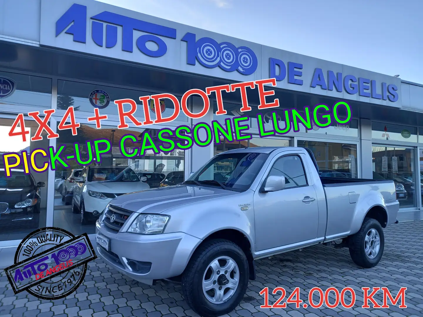 Tata Xenon PICK UP DICOR 4x4 + RIDOTTE CASSONE LUNGO + VASCA Gris - 2