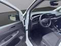 Ford Transit Connect Transit Connect 2,0 L1 AWD Trend "AHV" Weiß - thumbnail 10