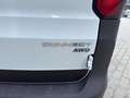 Ford Transit Connect Transit Connect 2,0 L1 AWD Trend "AHV" Weiß - thumbnail 19