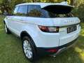 Land Rover Range Rover Evoque Pure AHK/NAVI/PANORAMA - thumbnail 7