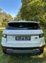 Land Rover Range Rover Evoque Pure AHK/NAVI/PANORAMA - thumbnail 6