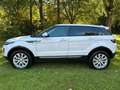 Land Rover Range Rover Evoque Pure AHK/NAVI/PANORAMA - thumbnail 3