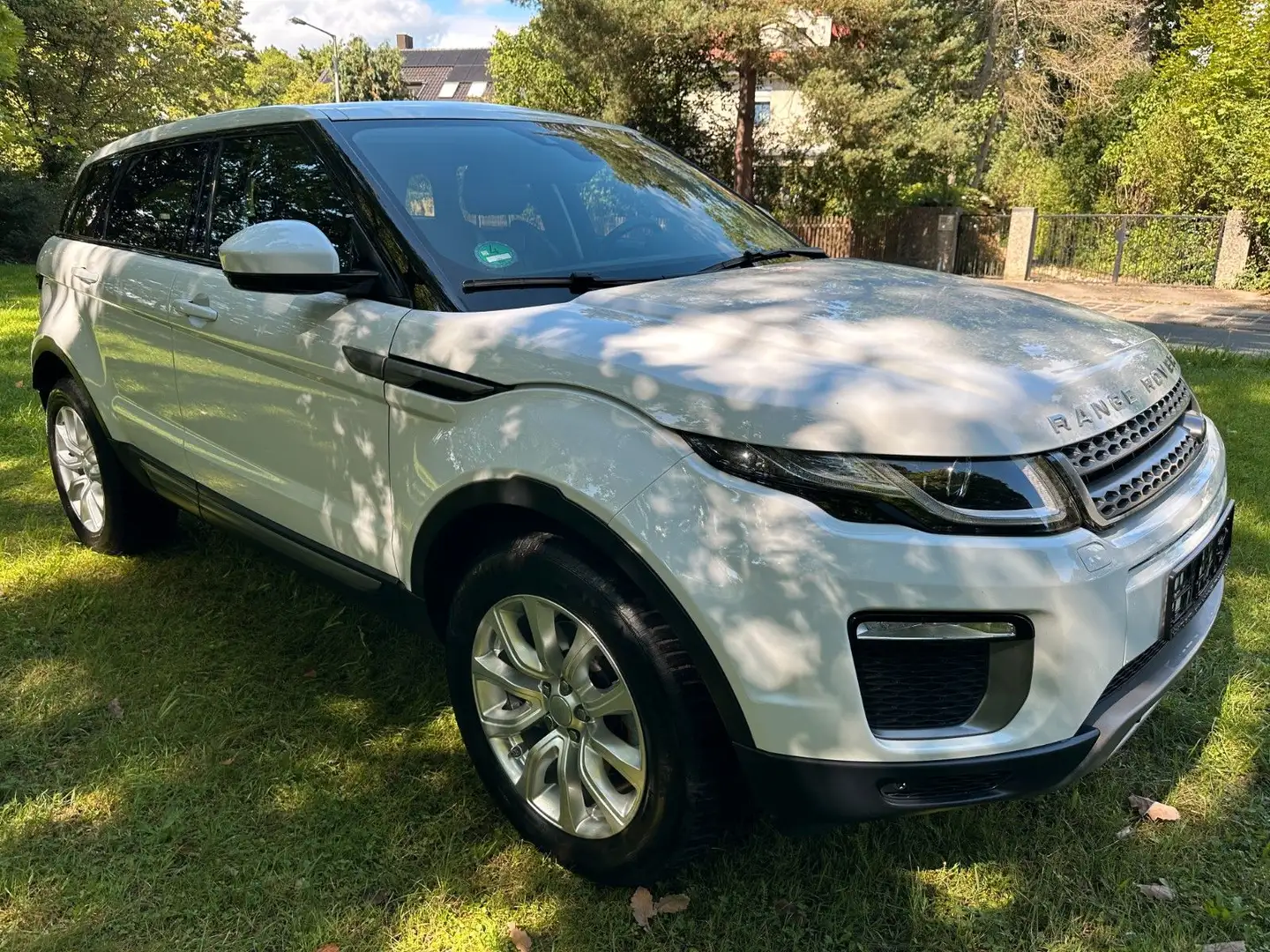 Land Rover Range Rover Evoque Pure AHK/NAVI/PANORAMA - 1