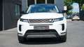 Land Rover Range Rover Evoque EVOQUE D240 AWD*21"DYNAMIC*AHK*PANORAMA* Weiß - thumbnail 13