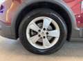 Renault Scenic III 1.5d Xmod Paris*GARANTIE*NAVI*1.HAND* Rood - thumbnail 28