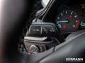 Ford Fiesta TITANIUM 5D 1.0L MHEV 125PS M6 Winter-Pak Blau - thumbnail 16