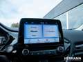 Ford Fiesta TITANIUM 5D 1.0L MHEV 125PS M6 Winter-Pak Blau - thumbnail 8