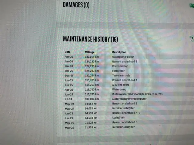 Renault Megane E-Tech view 3