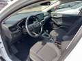 Ford Focus Turnier Active WINTER/EASY-PARK/FAHRERASII Blanco - thumbnail 16