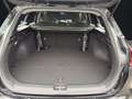 Kia Ceed SW / cee'd SW CEED SW 1.5T 140 DCT7 VISION KOMFORT Schwarz - thumbnail 14