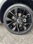 Volkswagen T-Roc R-Line Grau - thumbnail 13