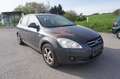 Kia Ceed / cee'd cee'd / Ceed 1,4 CVVT Active Grau - thumbnail 2