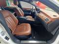 Mercedes-Benz CLS 250 CLS 250 CDI BlueTec MultiBeam / Weiß - thumbnail 12