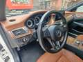 Mercedes-Benz CLS 250 CLS 250 CDI BlueTec MultiBeam / Weiß - thumbnail 10
