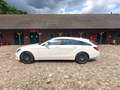 Mercedes-Benz CLS 250 CLS 250 CDI BlueTec MultiBeam / Weiß - thumbnail 7