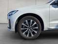 Volvo XC60 XC60 B4 AWD Plus-Dark Aut Leder BLIS PilotAssist Weiß - thumbnail 16