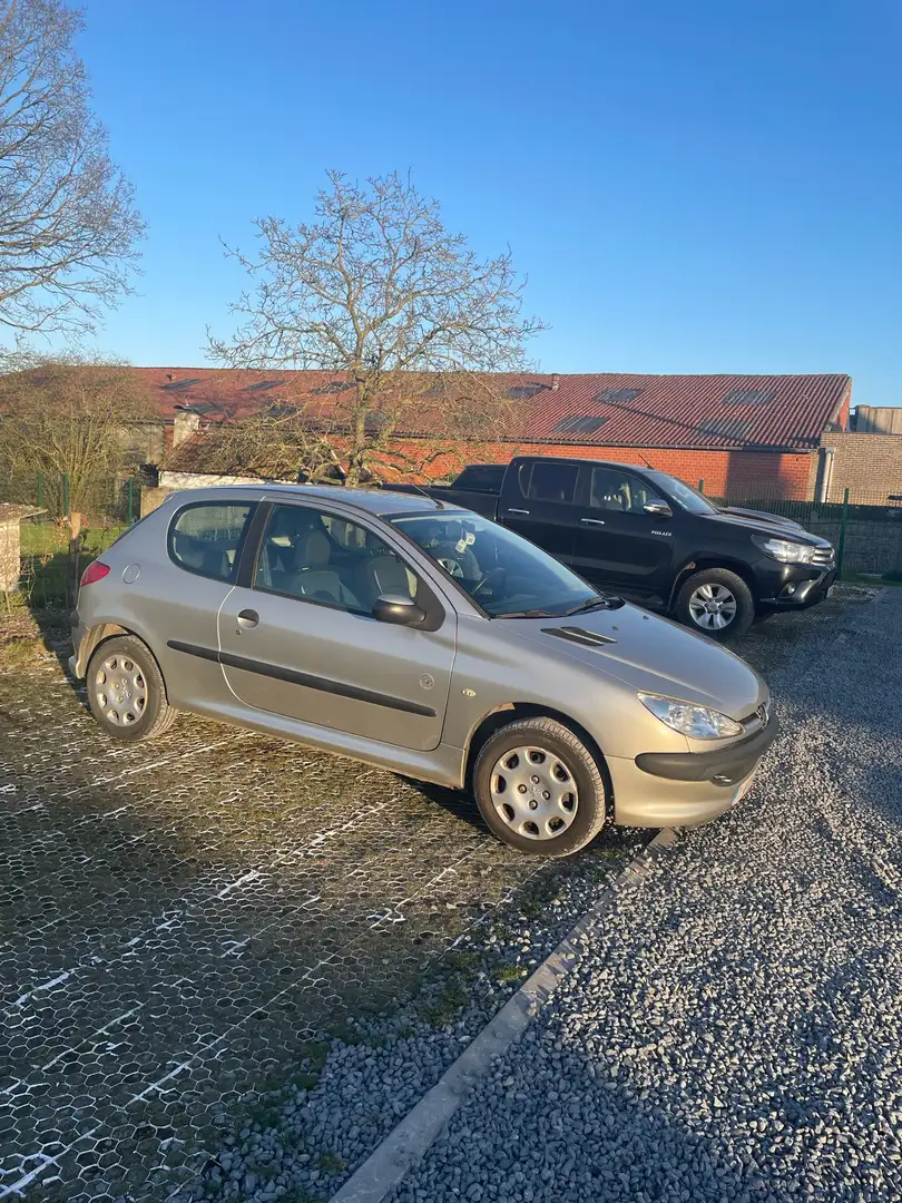 Peugeot 206 60 Petit Filou - 2