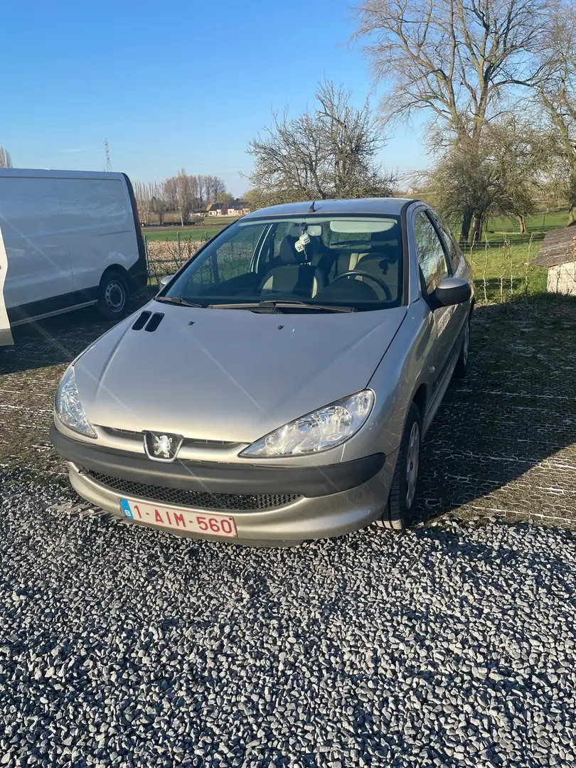 Peugeot 206 60 Petit Filou - 1