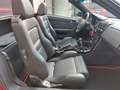Alfa Romeo Spider 3.0 V6 12v Lusso ASI S.T.U.P.E.N.D.A! Rot - thumbnail 19