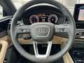 Audi A5 A5 Cabrio advanced 40 TDI quattro 150(204) kW(PS Grau - thumbnail 13