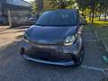 smart forFour Forfour II 2020 eq Pure 4,6kW Gris - thumbnail 3