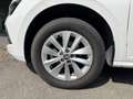 Skoda Kamiq 1,0 TSI SELECTION DSG+Kamera+PDC Weiß - thumbnail 17