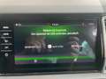 Skoda Kodiaq Kodiaq 1.4 TSI ACT DSG Style - SOLD / VERKOCHT Grijs - thumbnail 20