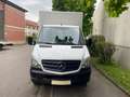 Mercedes-Benz Sprinter 310/311/313/314/316 CDI (906.131/132/133/135) Weiß - thumbnail 4