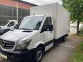 Mercedes-Benz Sprinter 310/311/313/314/316 CDI (906.131/132/133/135) Weiß - thumbnail 2