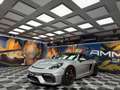 Porsche 718 Spyder 718 Boxster Spyder 4.0 Argento - thumbnail 1