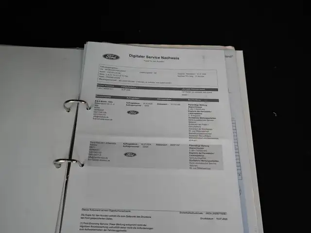 Ford Focus view 15