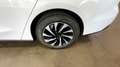 Ford Focus 1.0 Ecoboost MHEV 92kW Active Auto - thumbnail 19