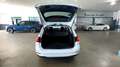 Ford Focus 1.0 Ecoboost MHEV 92kW Active Auto - thumbnail 11