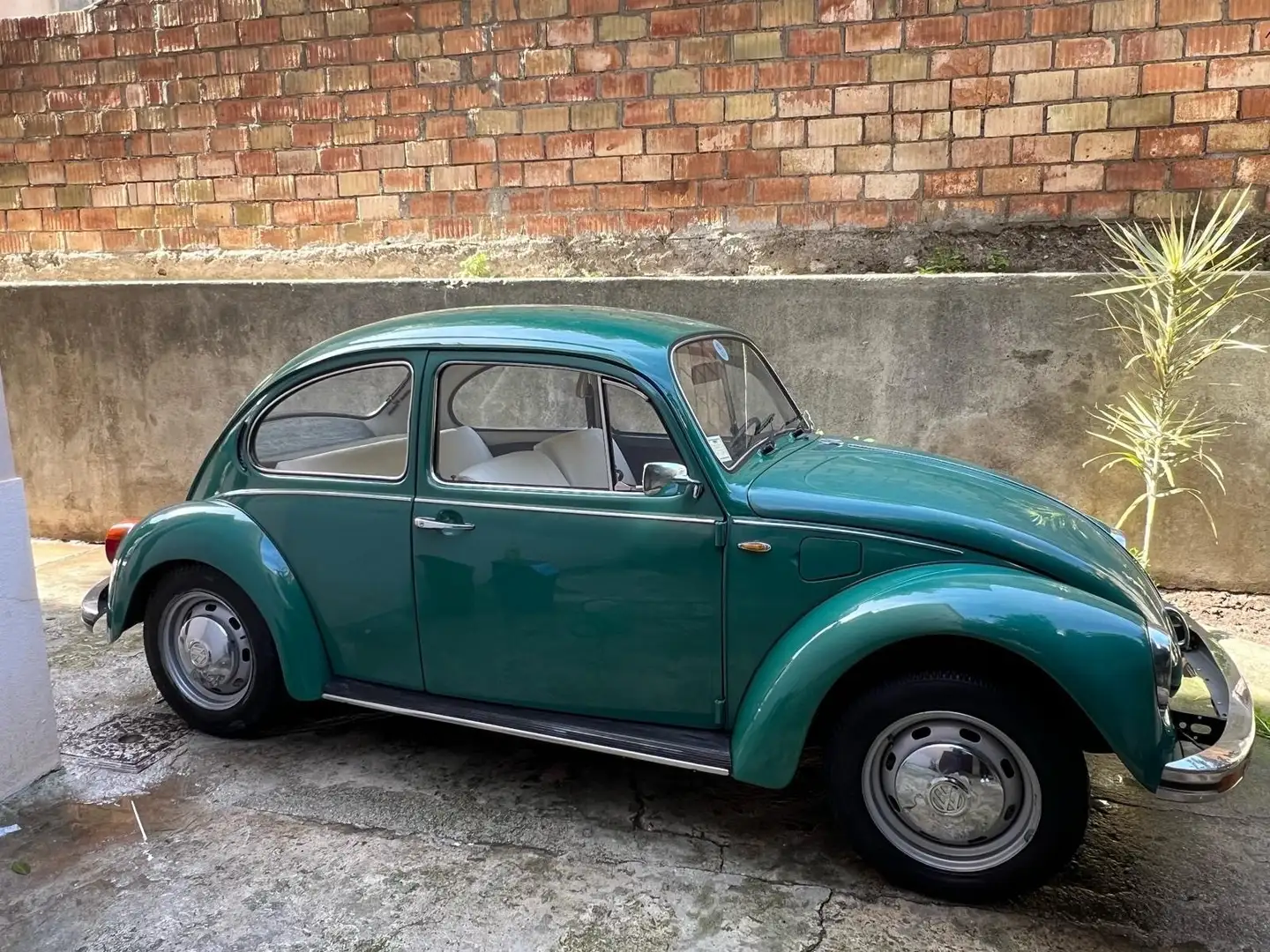 Volkswagen Maggiolino 1.2 L (messico) Verde - 1