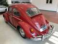Volkswagen Maggiolino nasino 11-113 - thumbnail 11