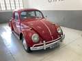 Volkswagen Maggiolino nasino 11-113 - thumbnail 2
