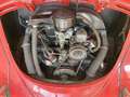 Volkswagen Maggiolino nasino 11-113 - thumbnail 14