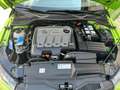 Volkswagen Scirocco Scirocco Diesel 2.0 TDI Match Grün - thumbnail 20