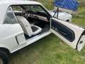 Ford Mustang 302cui Weiß - thumbnail 14